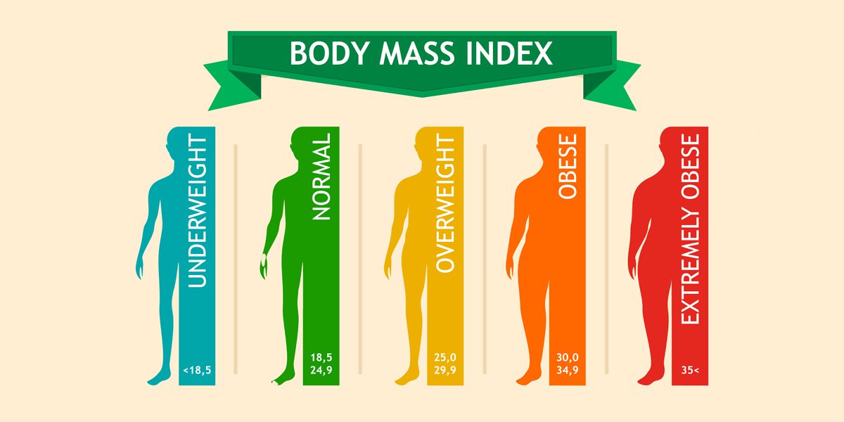 Average Bmi Chart