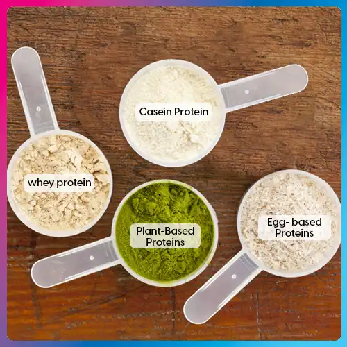 Types of Protein Supplements