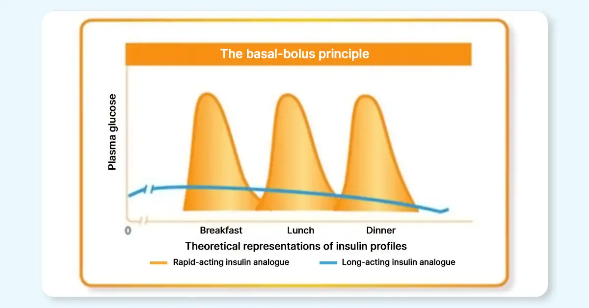  the basal bolus principle