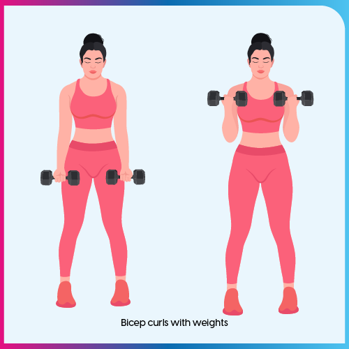 Bicep curls with weights exercise
