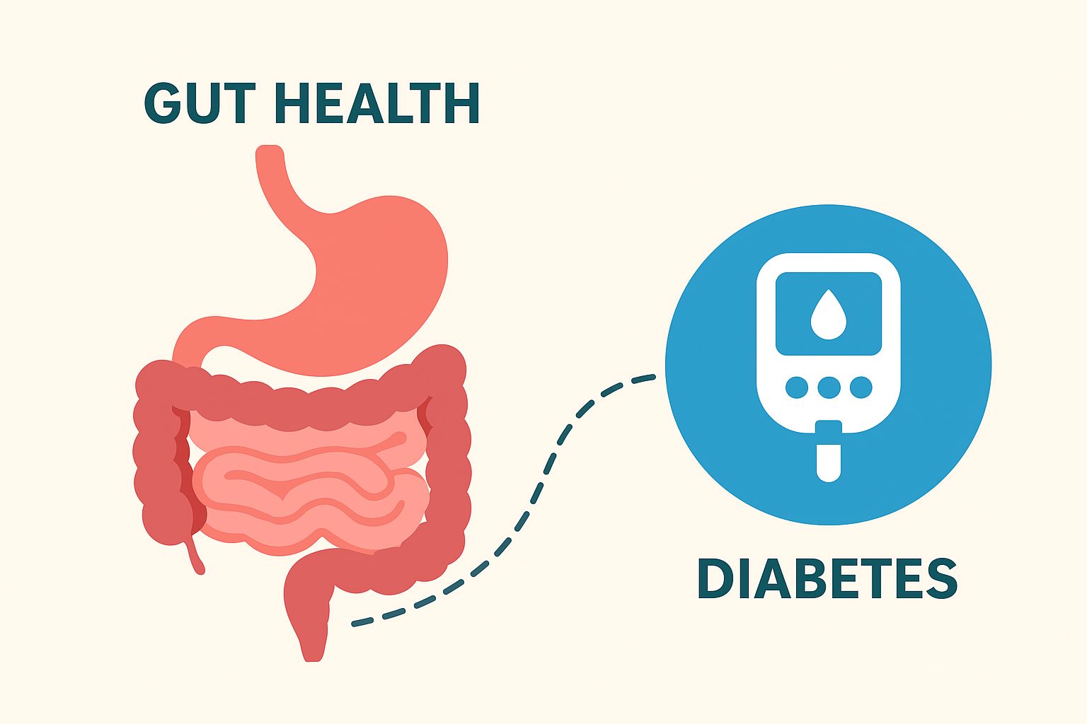 The connection between gut health and bacteria