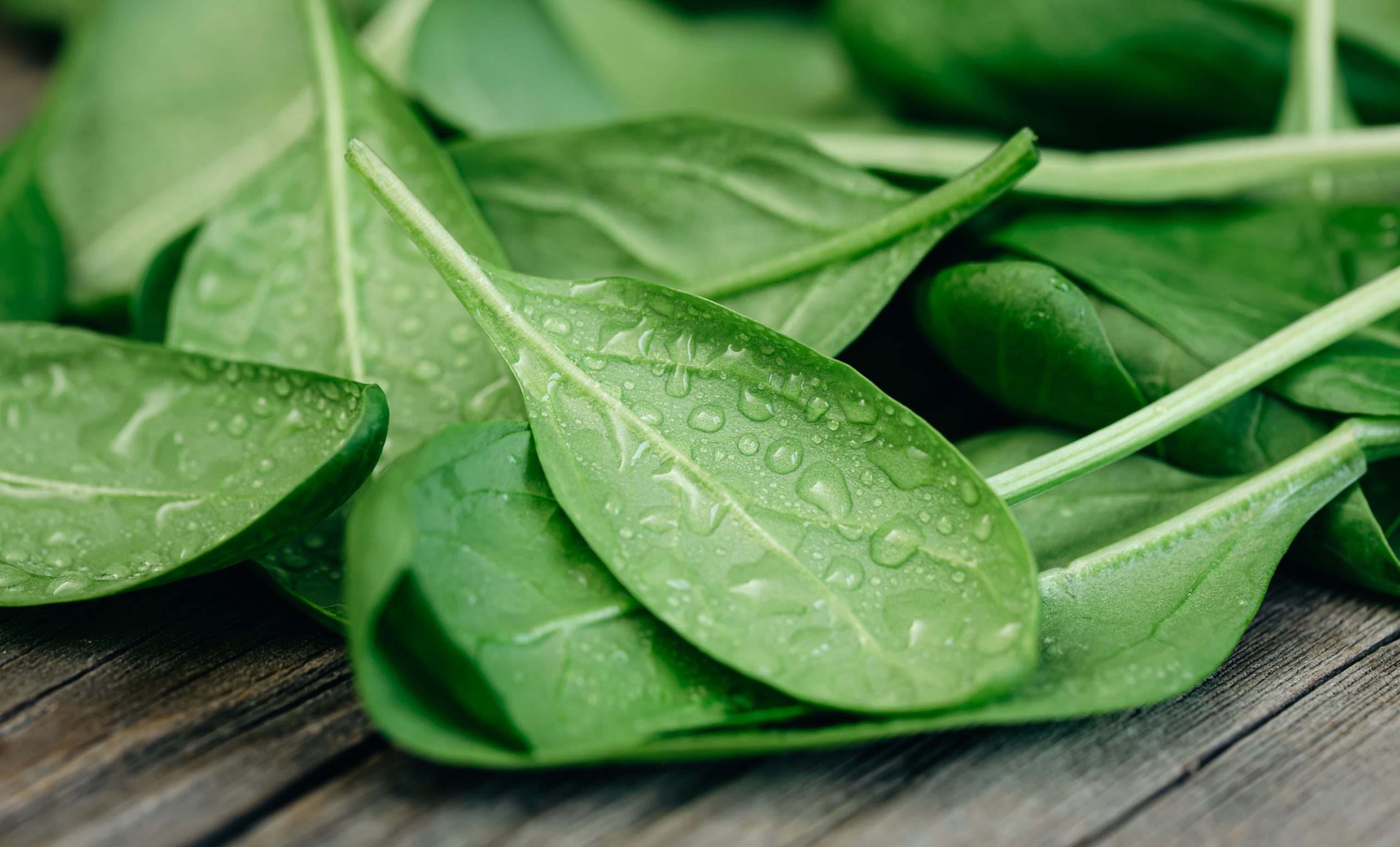 Is Spinach Good for Weight Loss?